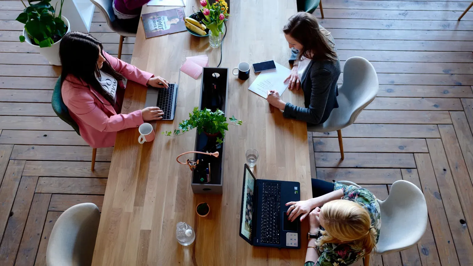Overhead view of colleagues working on laptops along a long wooden table on a plank floor, with small plants between them.