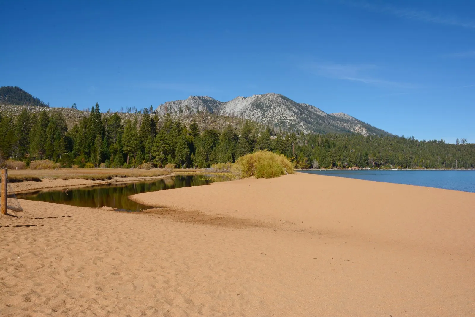 Sandy shoreline and pines at South Lake Tahoe.
