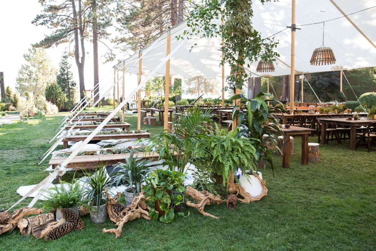 Outdoor lounge with plants, driftwood and long tables under trees