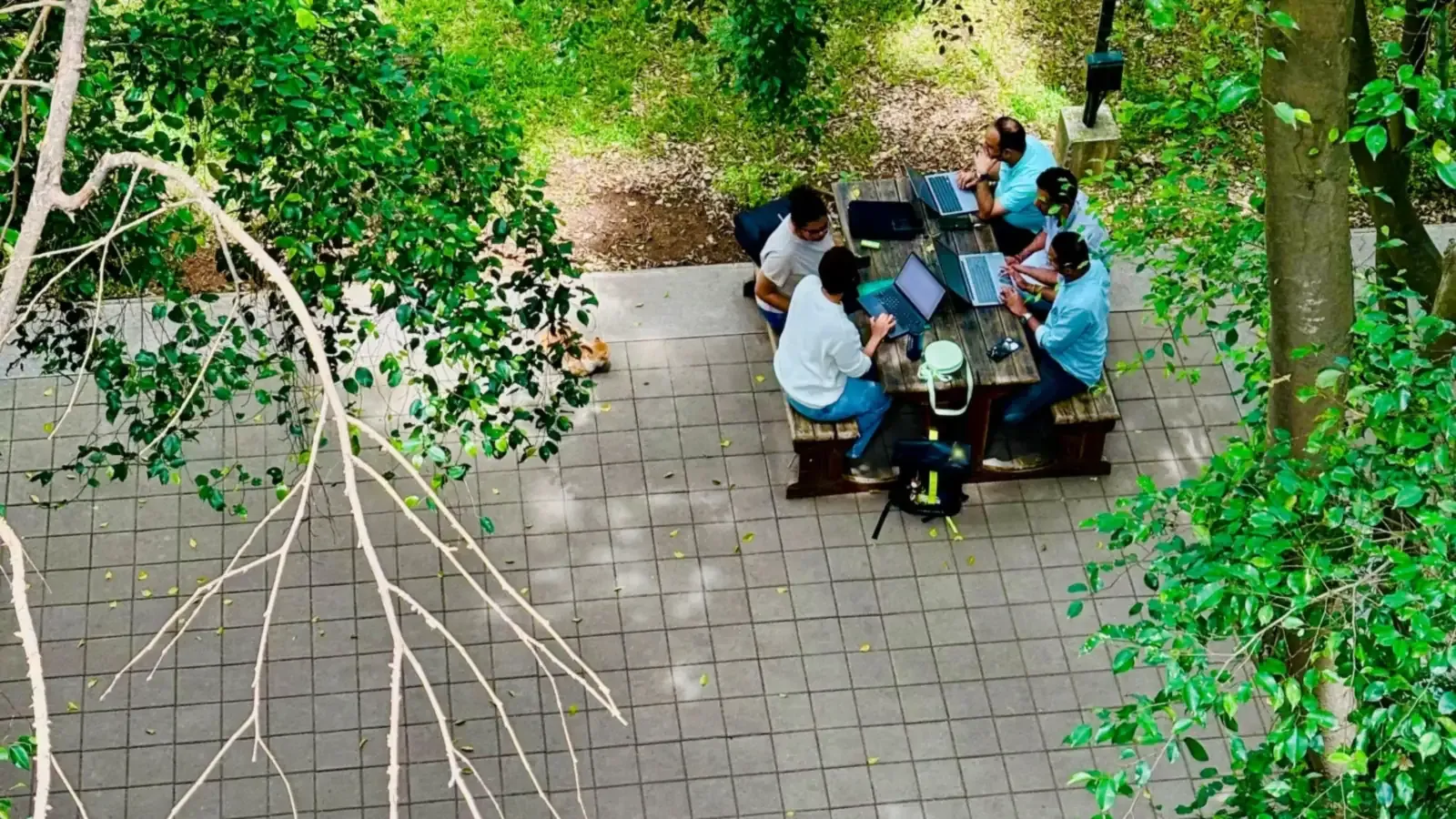 Five colleagues gather with laptops around a wooden picnic table on a shaded garden patio ringed by trees during a company offsite.