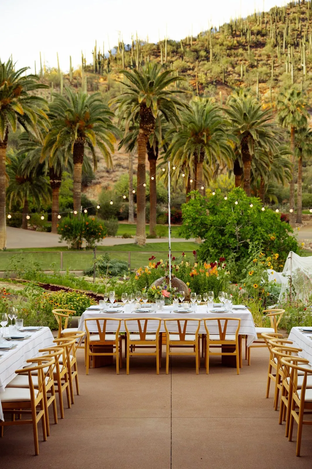 Long dinner tables set among palm trees at Castle Hot Springs