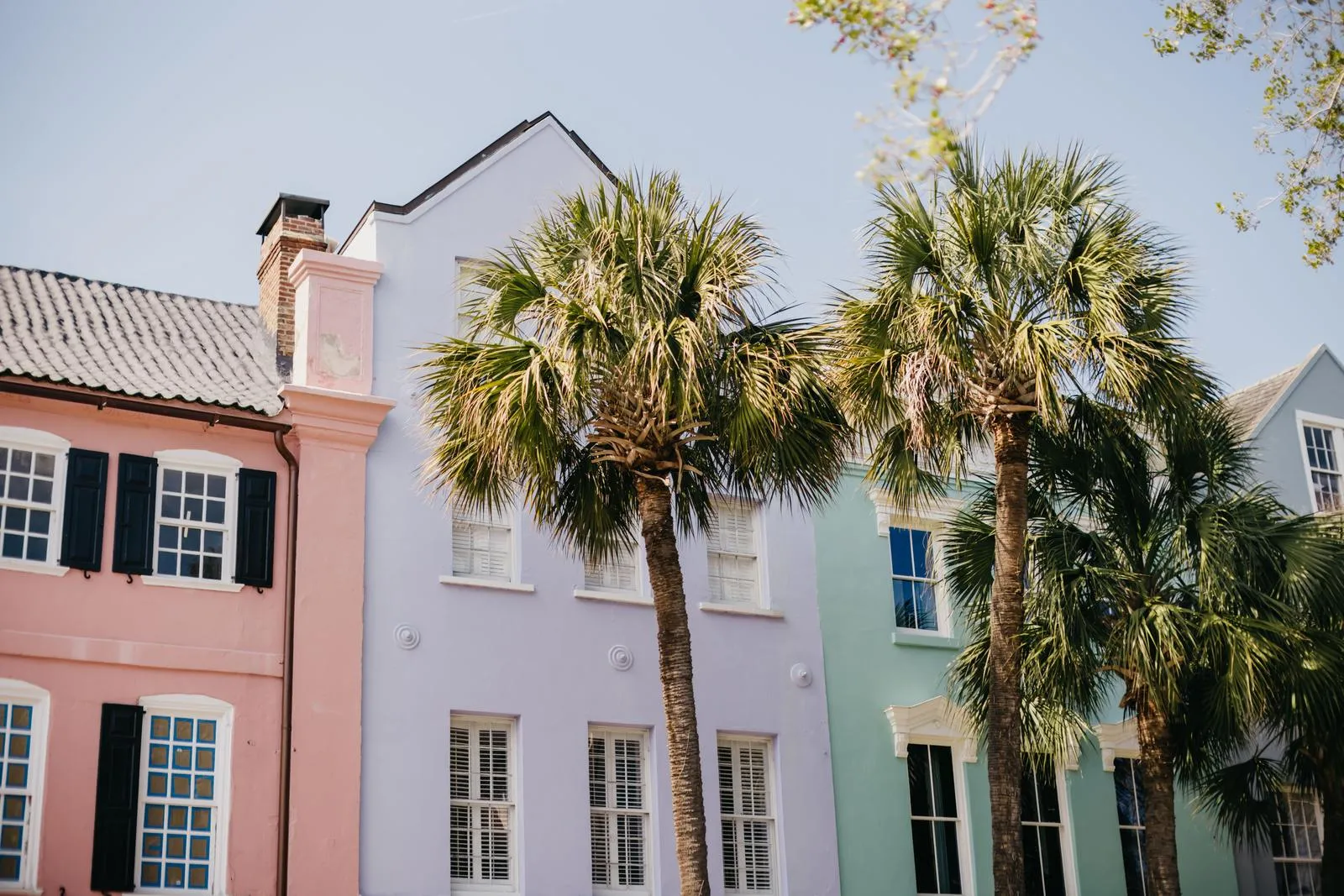Pastel townhouses and palmettos on a Charleston street.