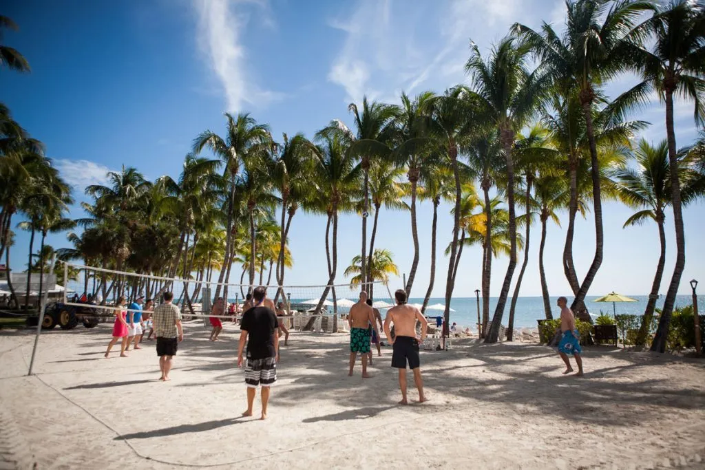 Groups playing on a palm lined beach during an incentive trip