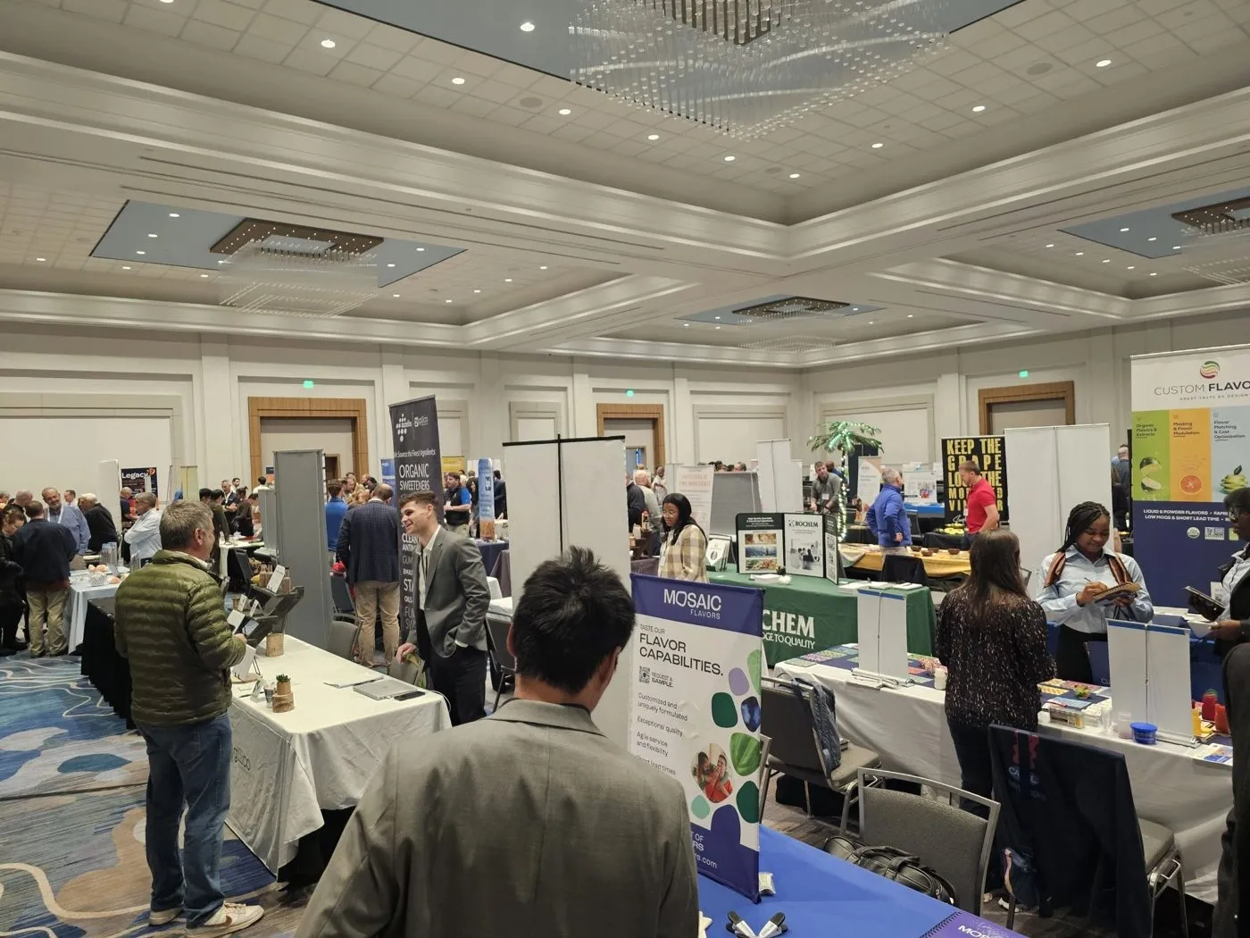 Exhibitors and visitors at booths on a hotel ballroom expo floor
