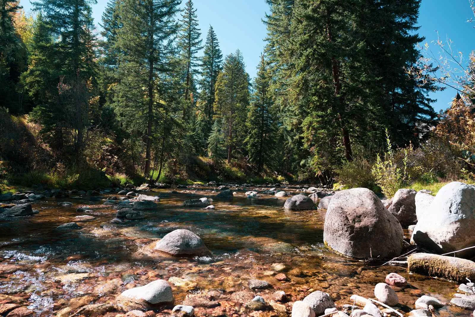Gore Creek running beneath evergreens in Vail.