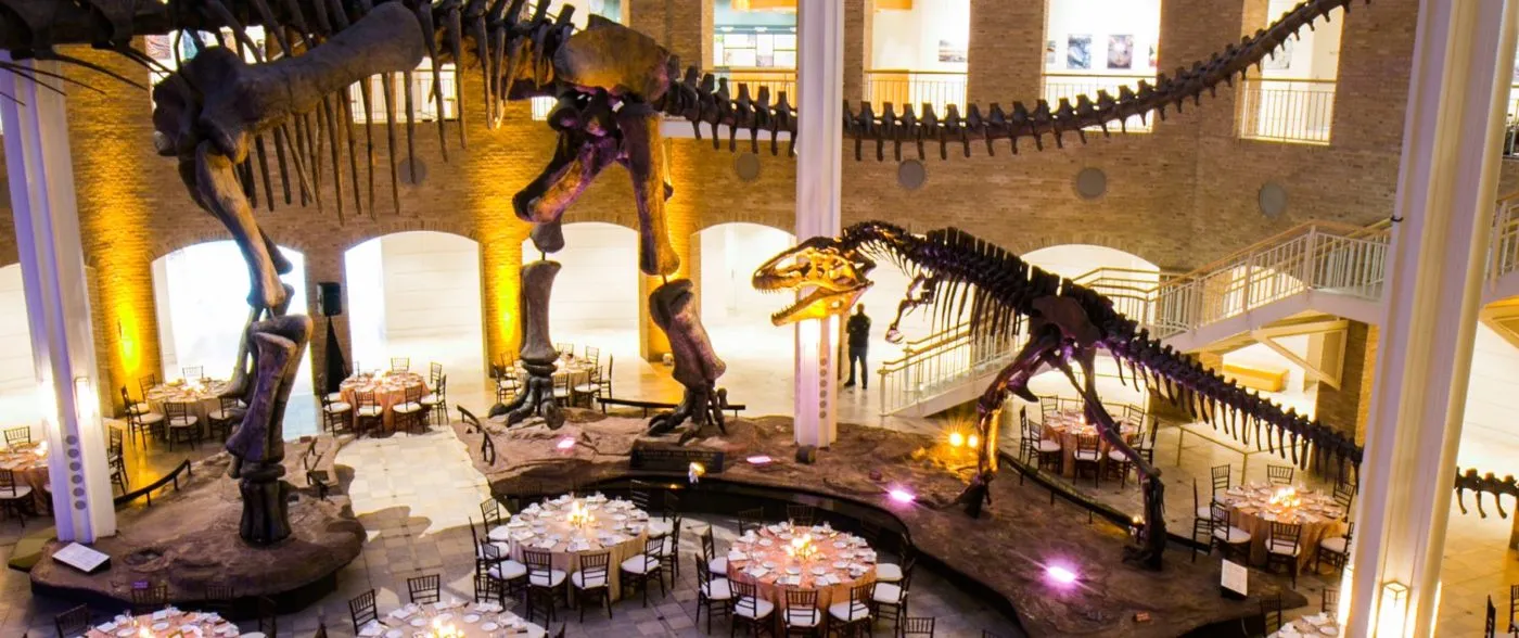 Round dinner tables set beneath life size dinosaur skeletons in a museum hall