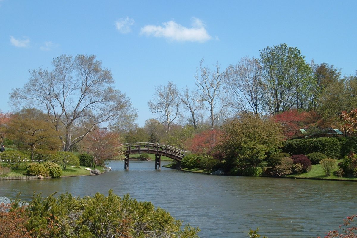 A footbridge over a pond in the Japanese garden at the Missouri Botanical Garden.