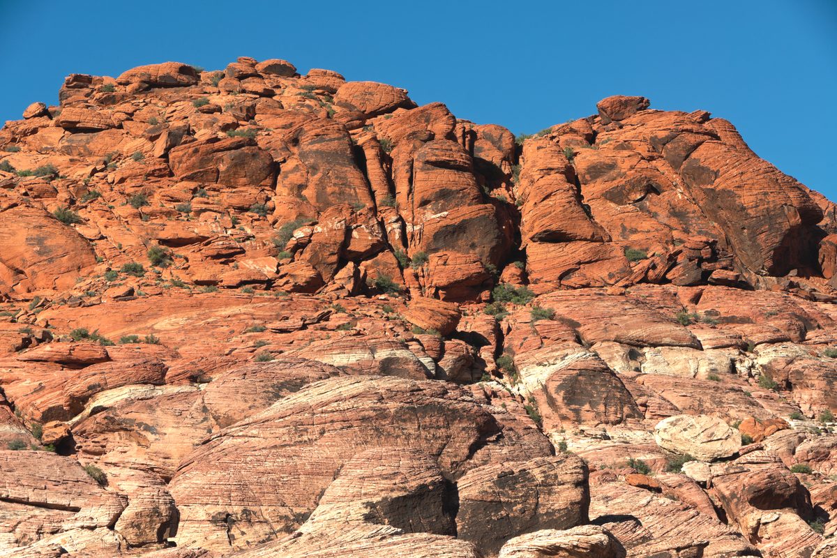 The red sandstone Calico Hills in Red Rock Canyon.