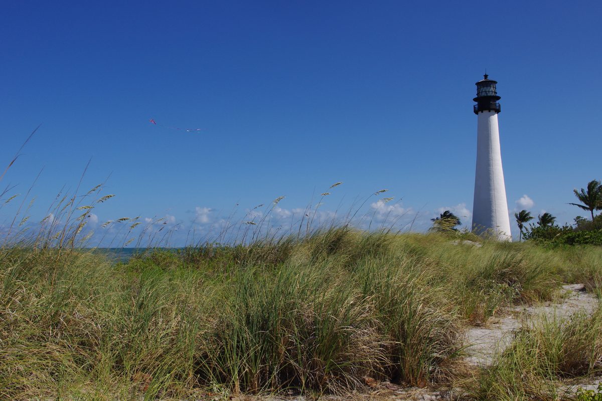 The Cape Florida Lighthouse behind dune grass at Bill Baggs Cape Florida State Park.