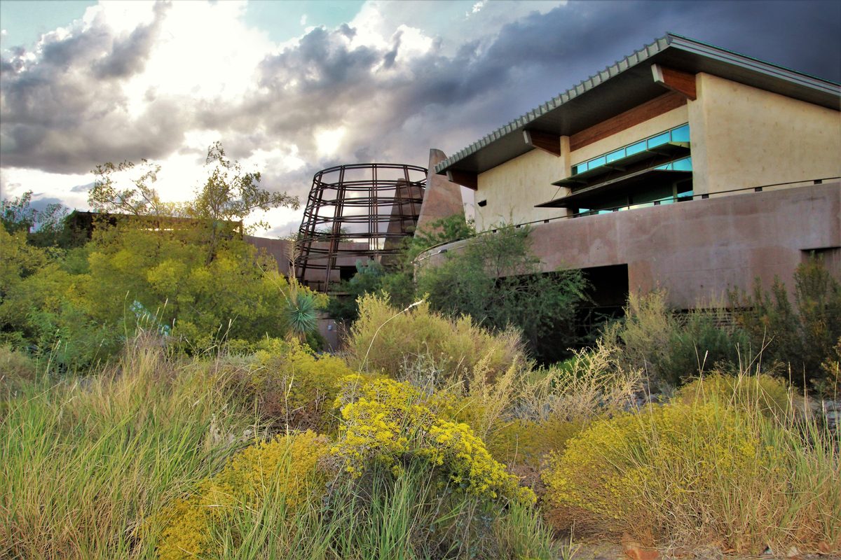 The Desert Living Center at Springs Preserve, surrounded by desert gardens.