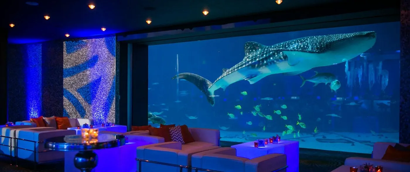 Group reception with lounge seating in front of a large aquarium window