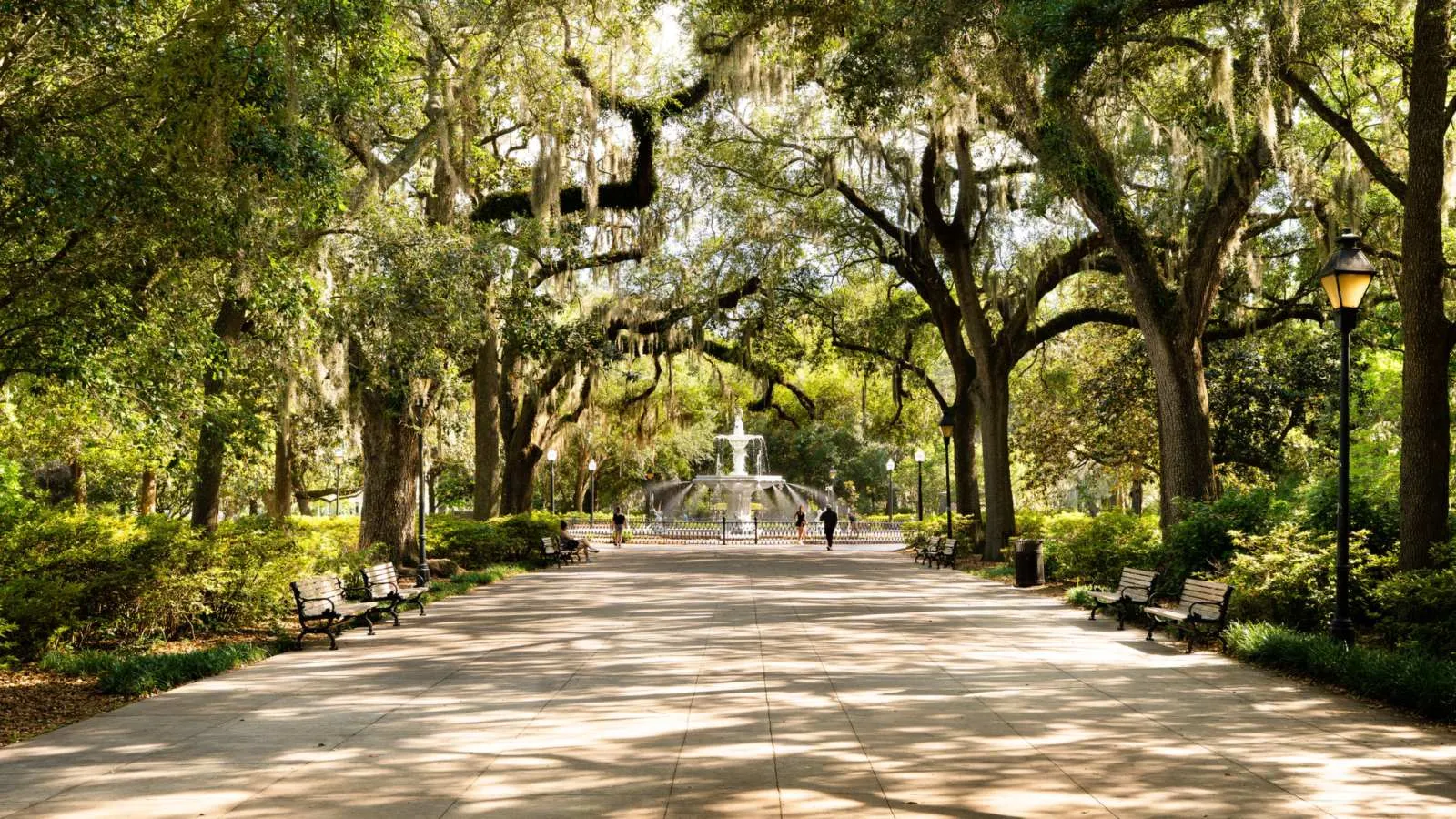 Forsyth Park walkway and fountain under Spanish moss.