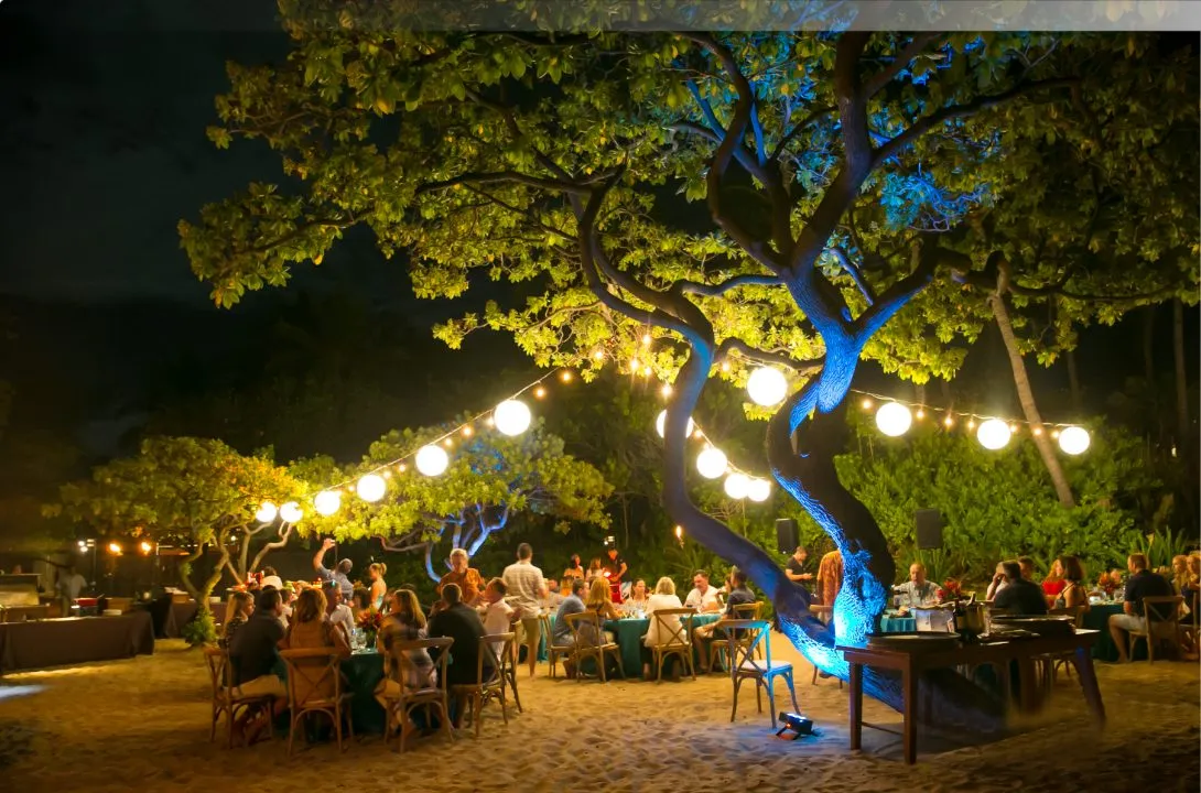 Guests at dinner tables beneath a tree strung with lights at night