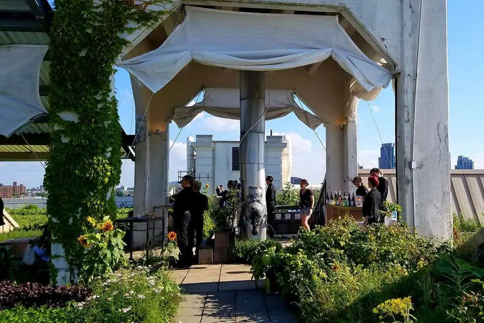 Rooftop Farm Dinner table setting