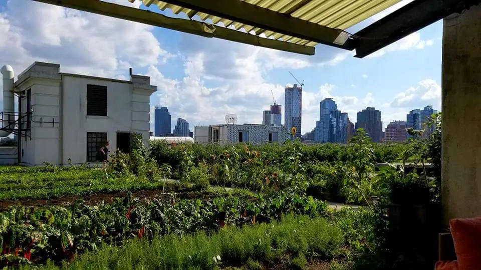 Rooftop Farm Dinner event