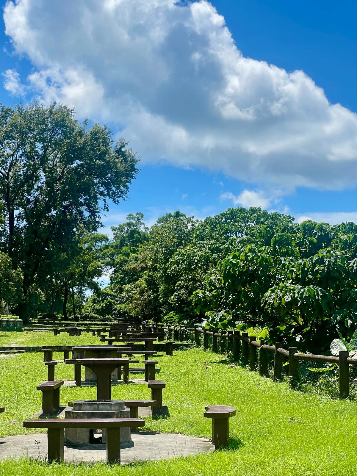 Picnic tables on a lawn shaded by trees