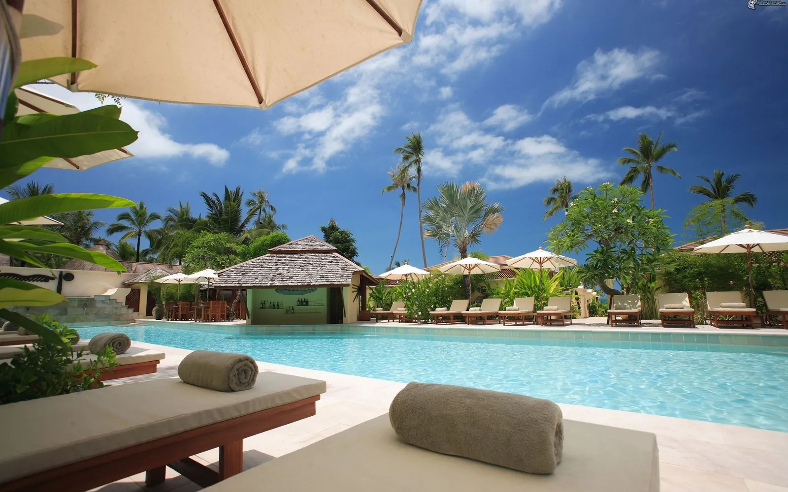 Lounge chairs and umbrellas beside a palm-lined resort pool.
